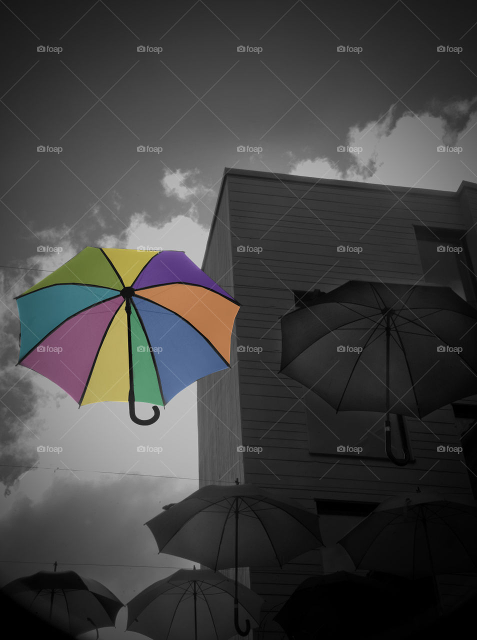Black and white umbrella photo with a pop of colour. Taken in Bergen Norway. 