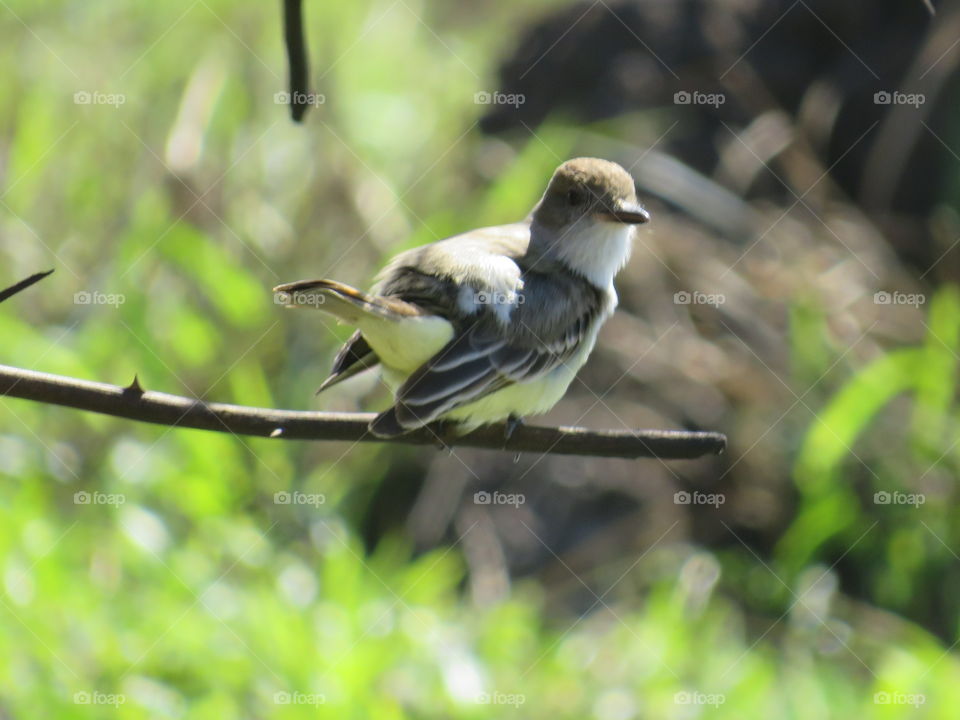 Que possamos olhar com os olhos da alma!