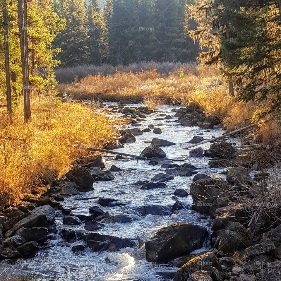 Fall creek colors