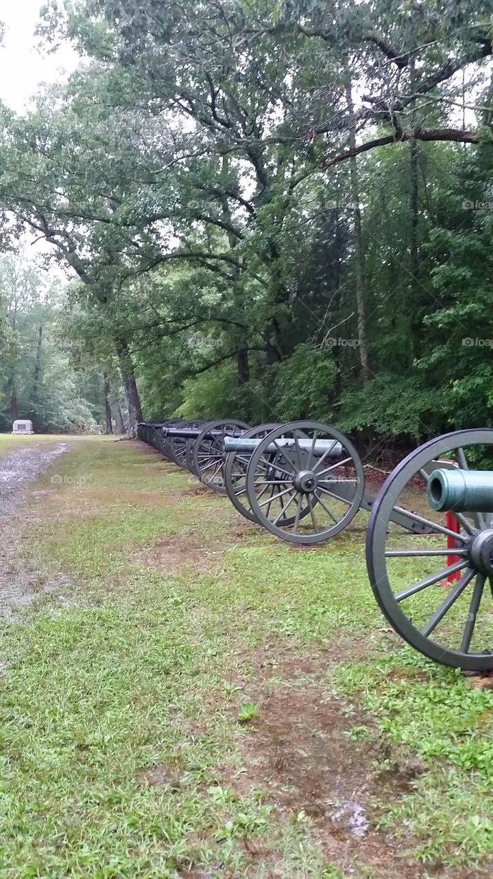Shiloh Cannons. Confederate Cannons still located on the Battlefield in Shiloh, TN