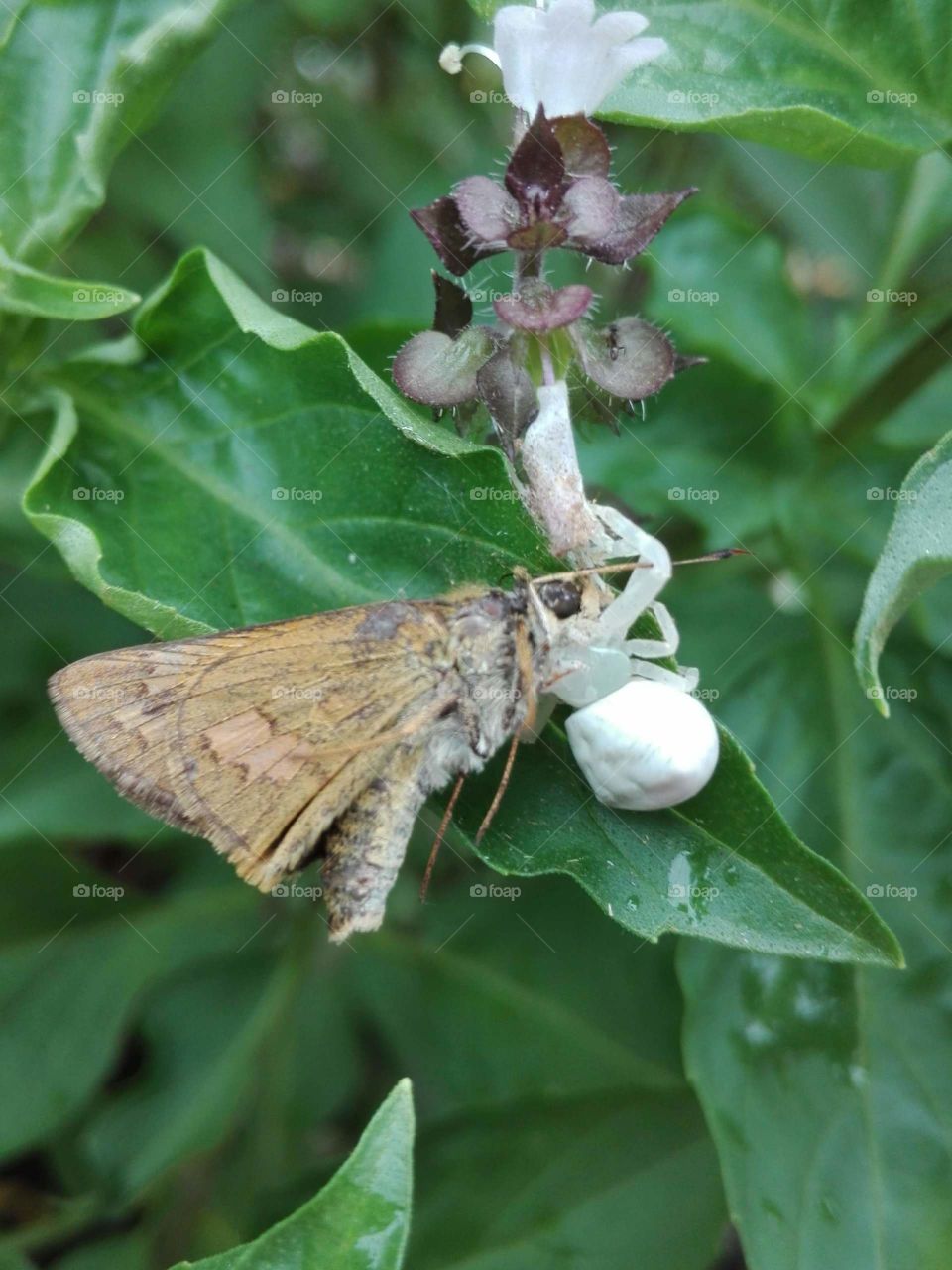 Don't give up and keep fighting, so you can survive.