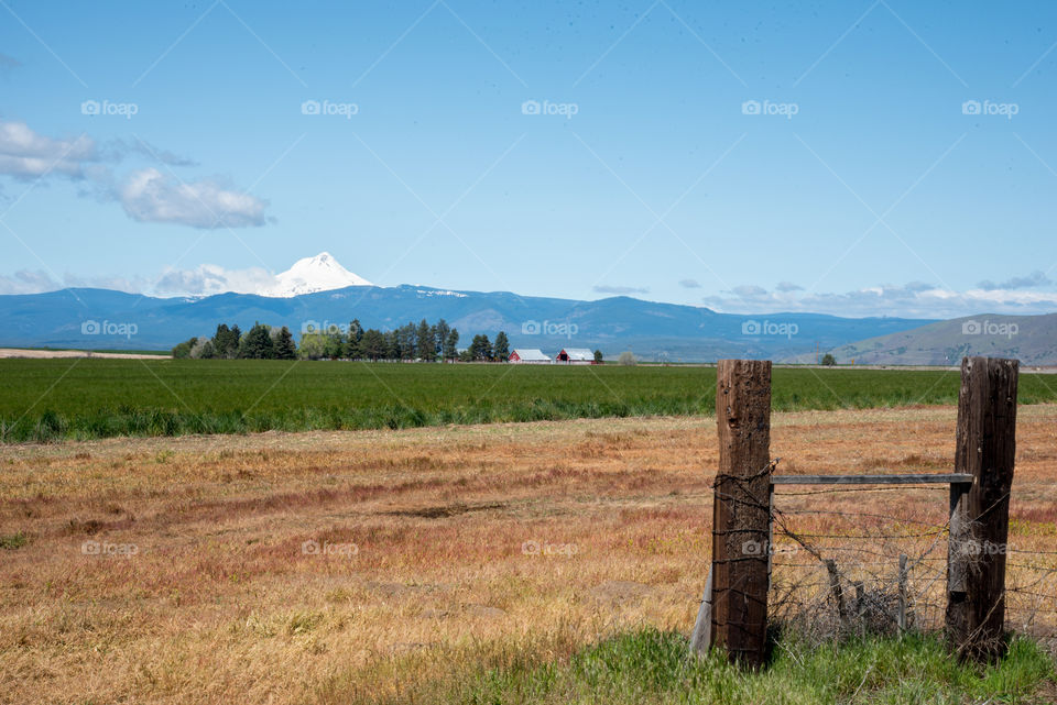 Farm at the foothills of Mt Hood in Oregon