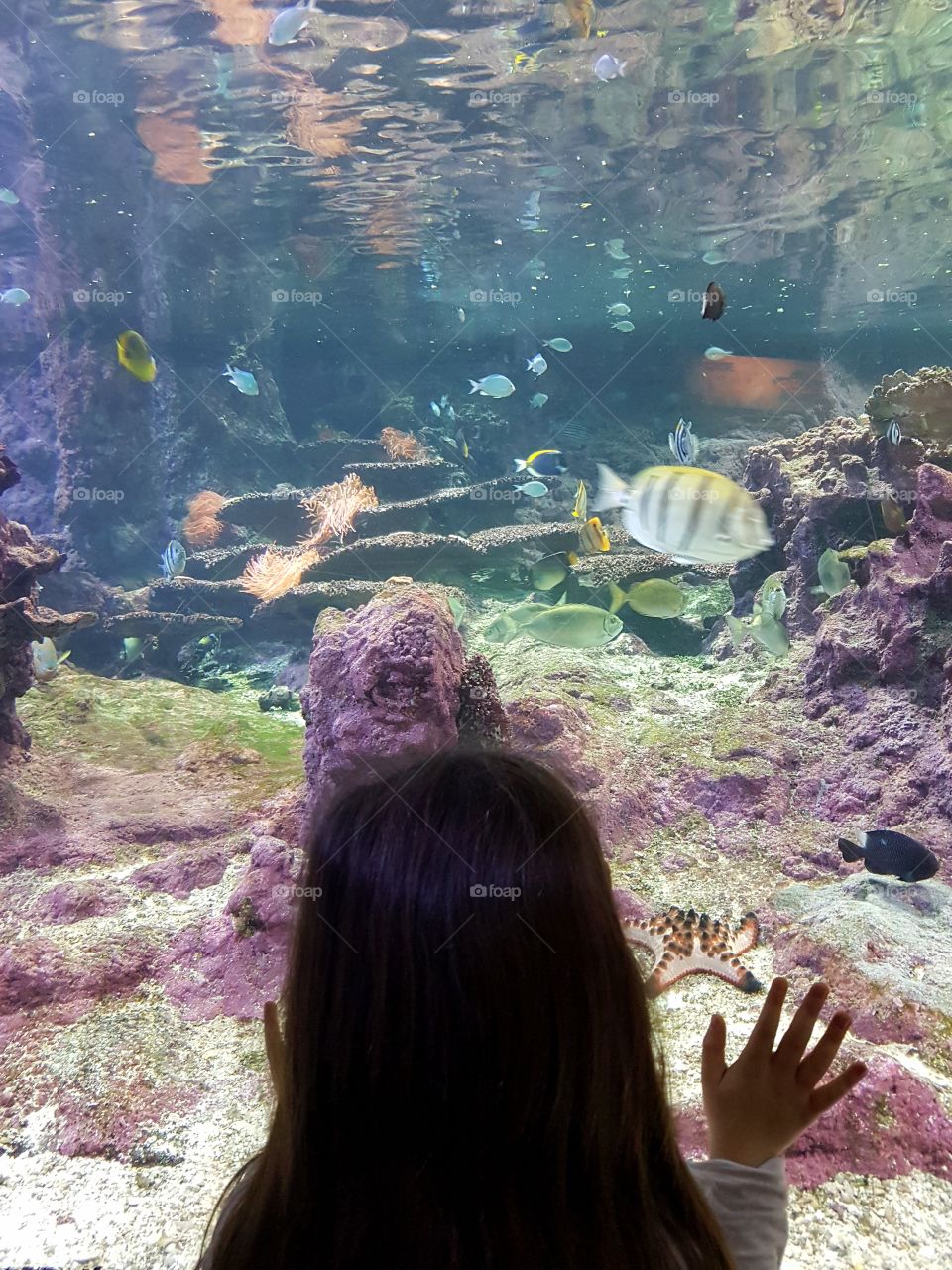Little girl watching at fishes in aquarium