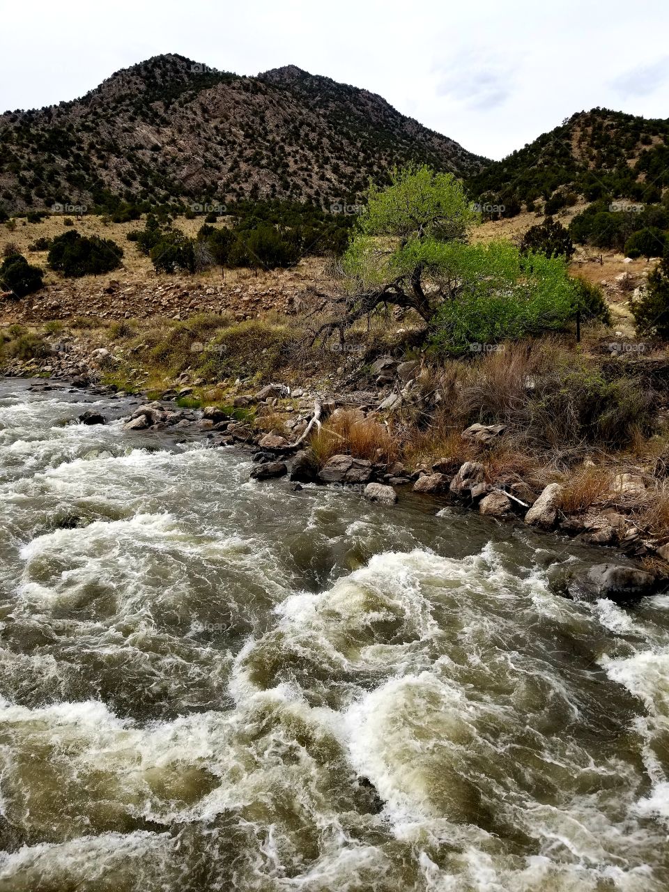 Rapid River