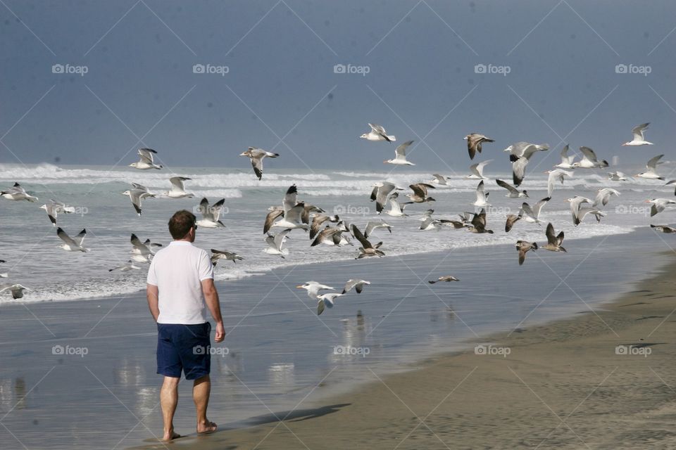 California beach 