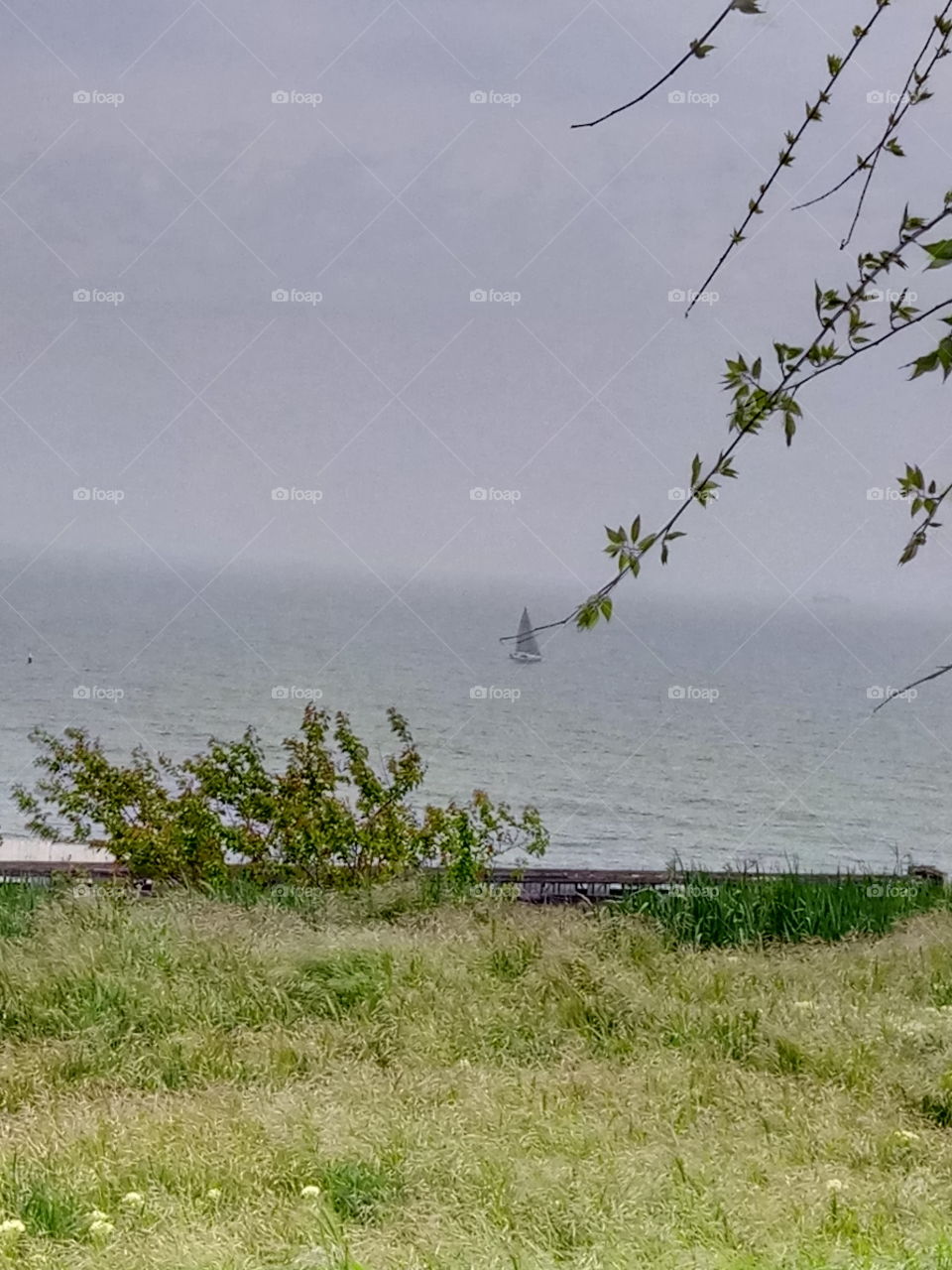 Landscape, Water, Nature, No Person, Summer