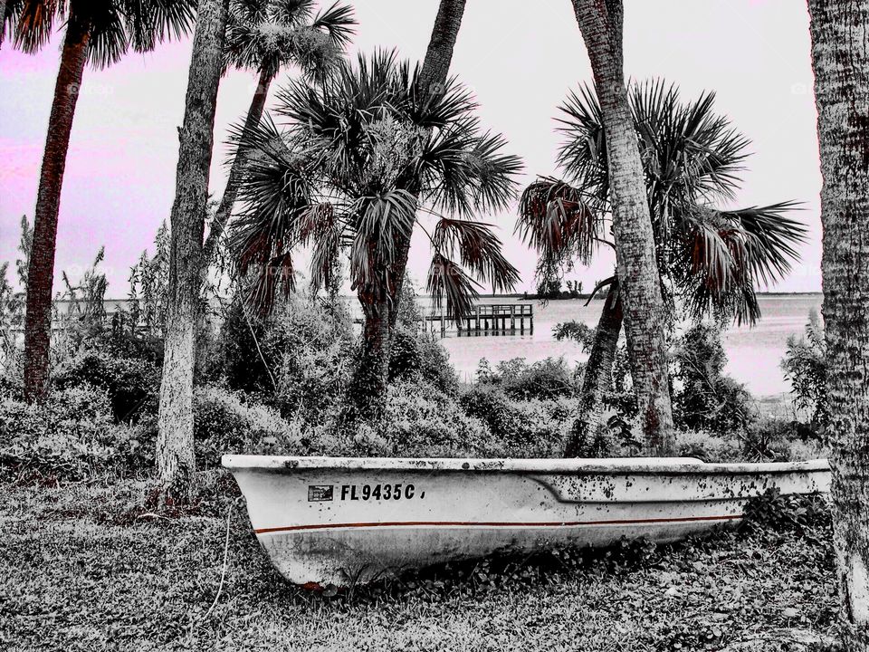 Old boat by the river. 