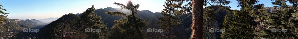 Landscape, Tree, Nature, Outdoors, Mountain