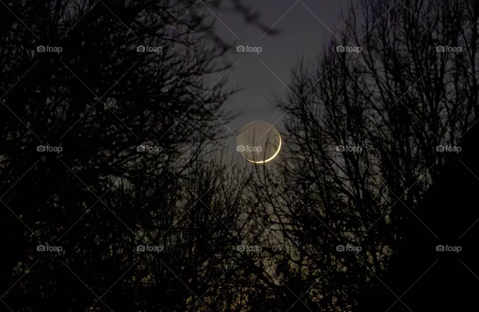 Crescent moon 