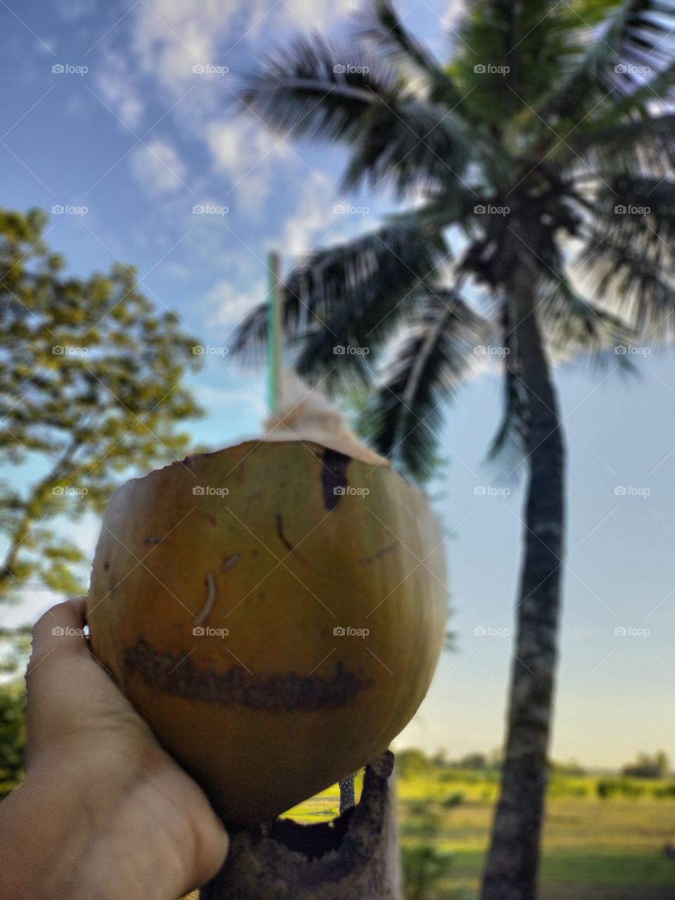 Chilling vibes when you have coconut water under the coconut tree.