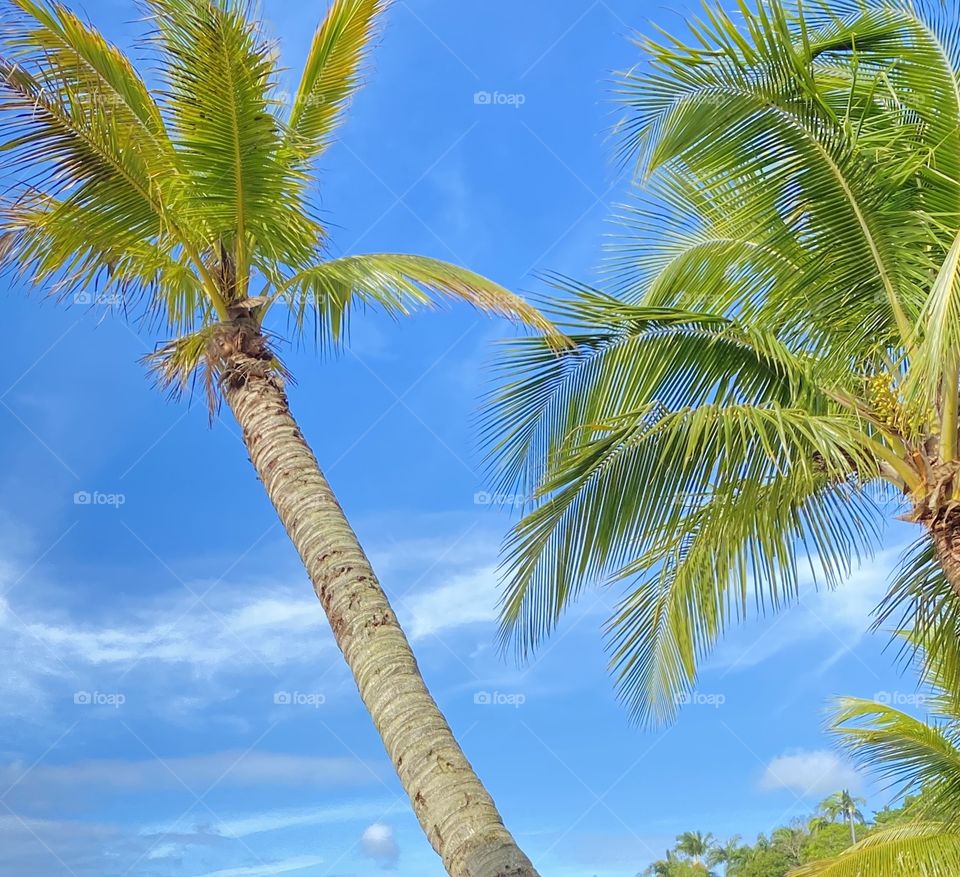 beach and blue sky