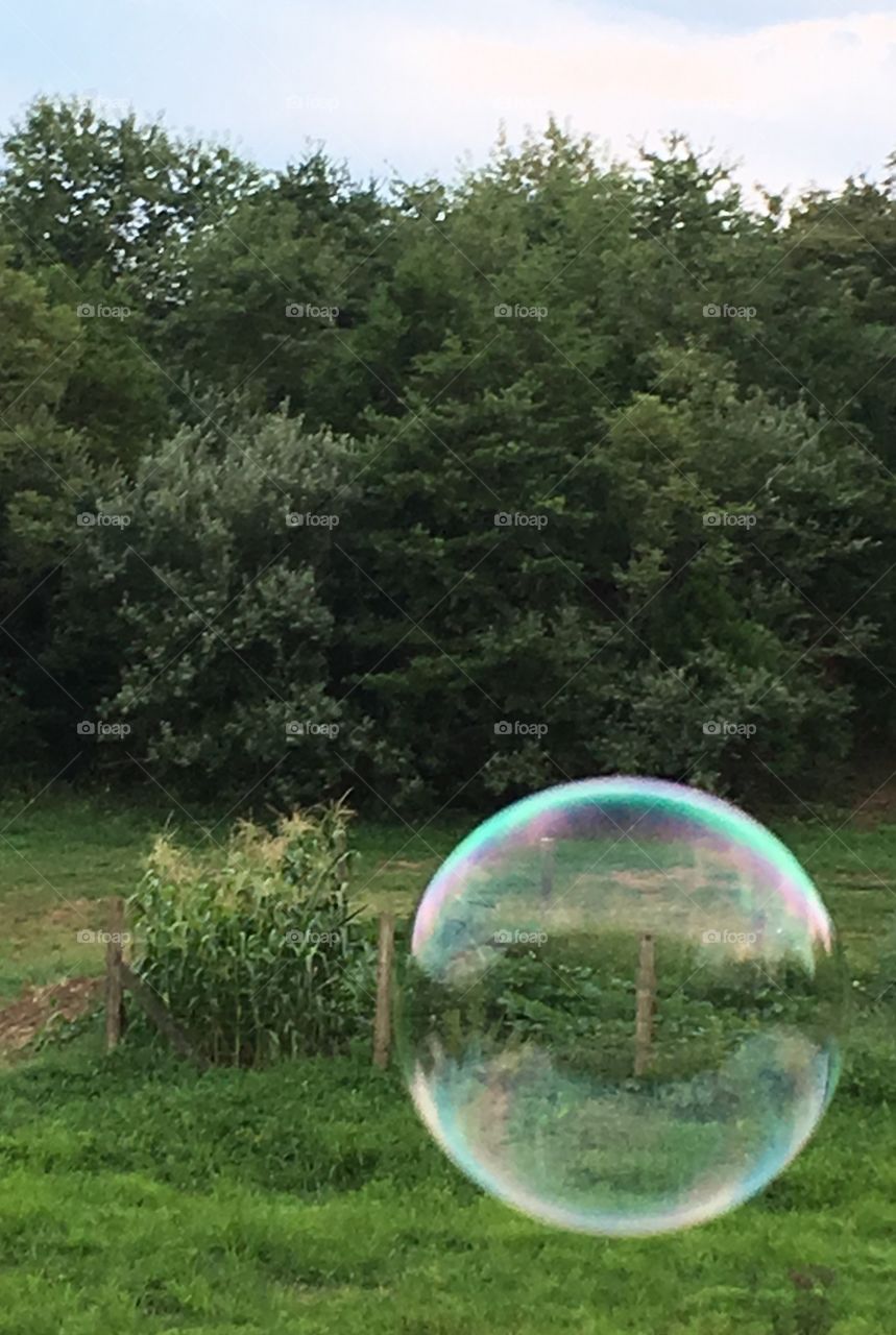 Through the bubble 
