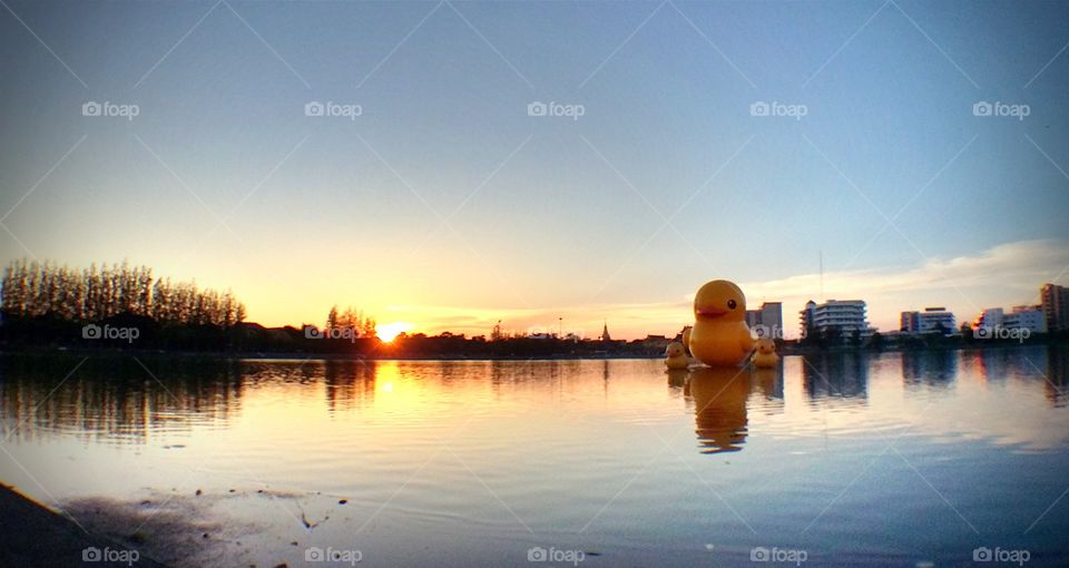 The Park at sunset