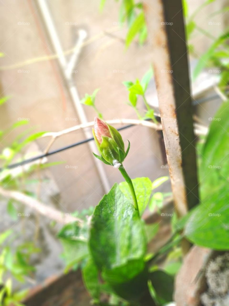 Checkout the best photo