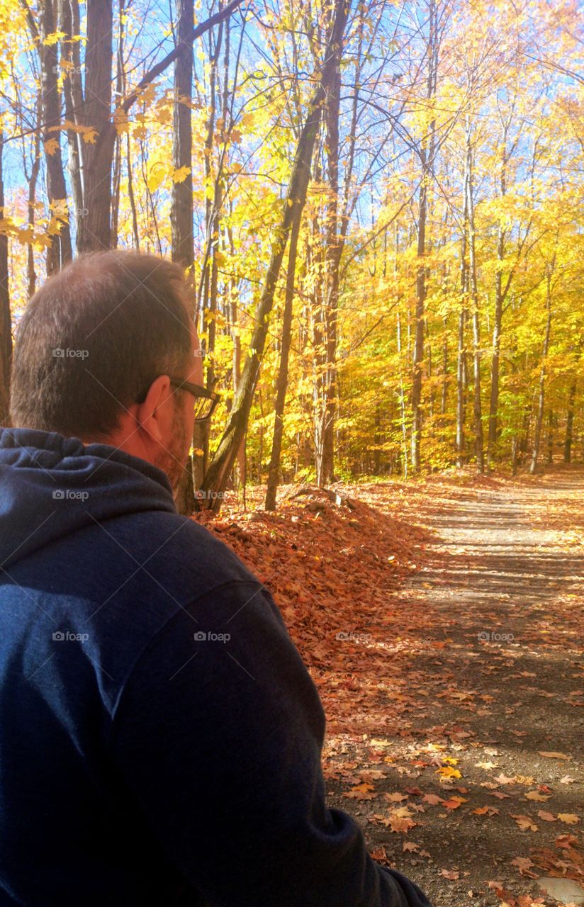 a walk in the woods at fall