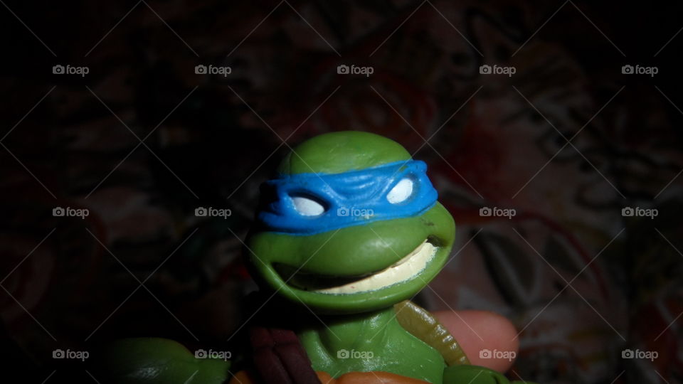 toy ninja turtle