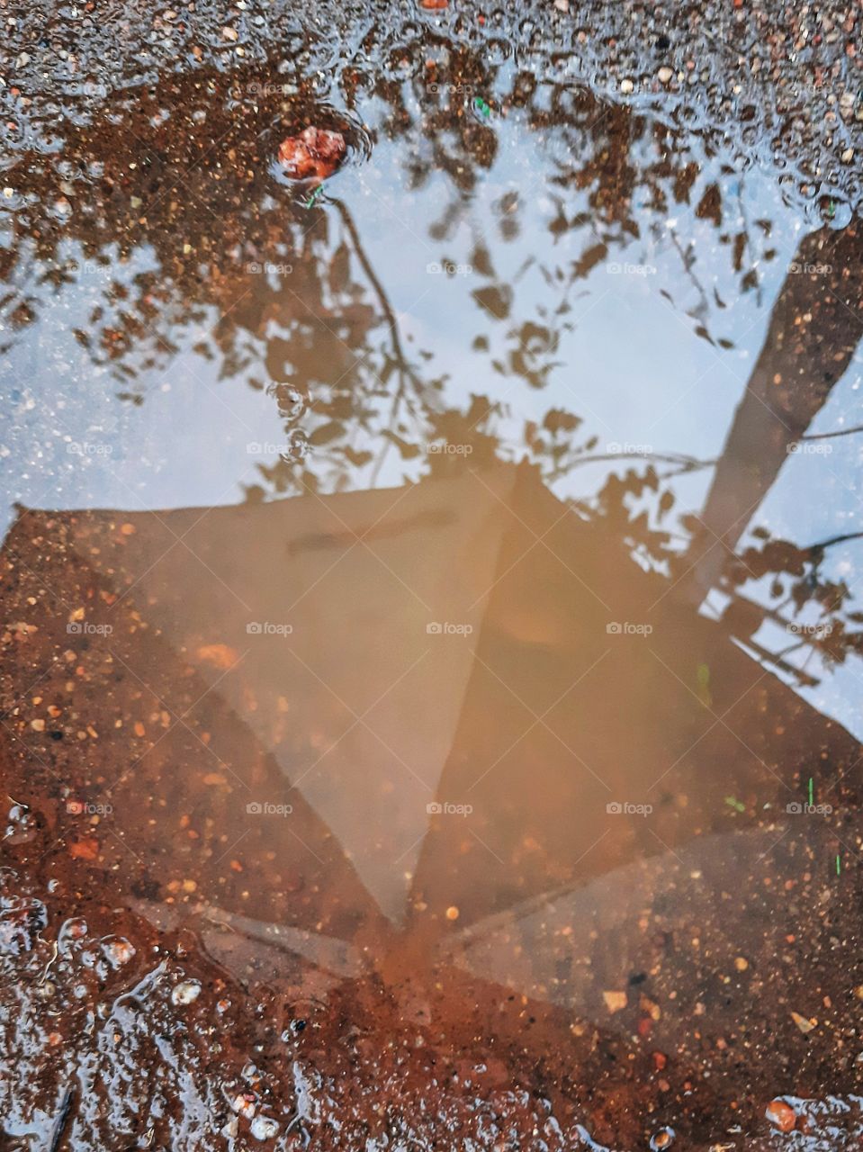 Wet and muddy with the heavy rain around. Reflection from a mud pond created by the heavy rain around. Eastern monsoon time in the northern part of Sri Lanka. Rainy days.