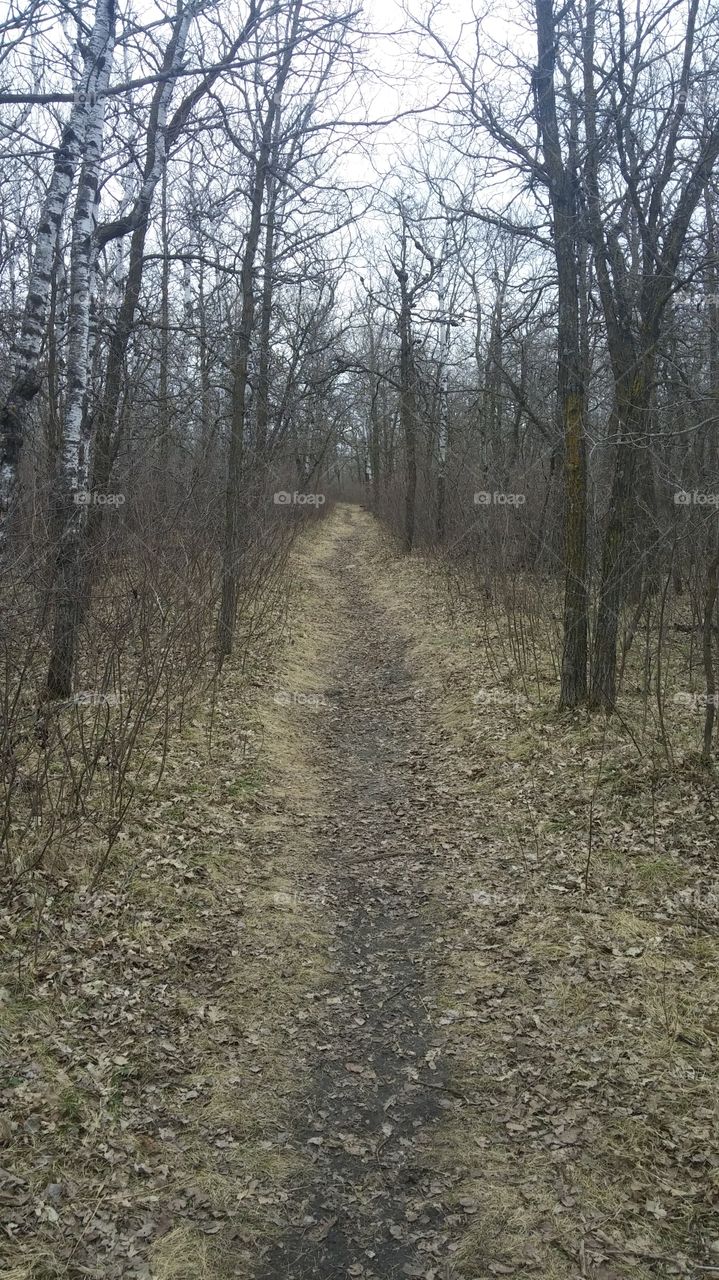 spring trail