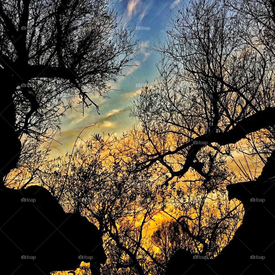 Gather evidence to play games and create diversions...