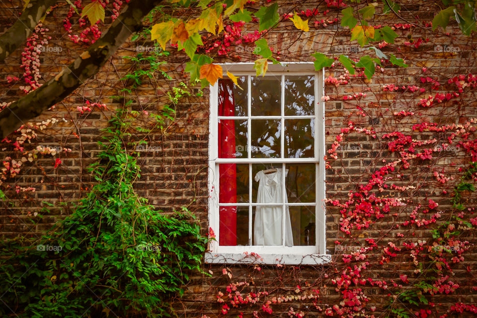 Fall window.