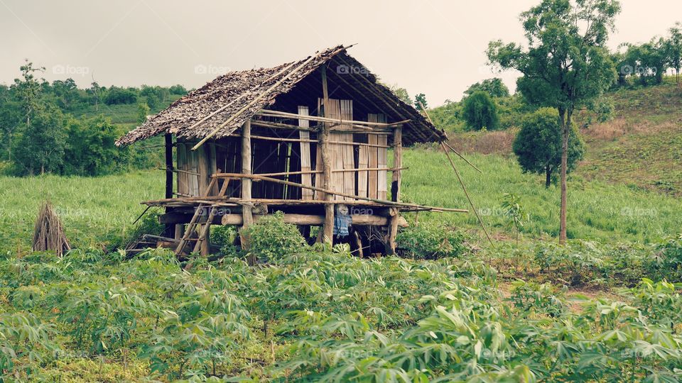 hut in the country