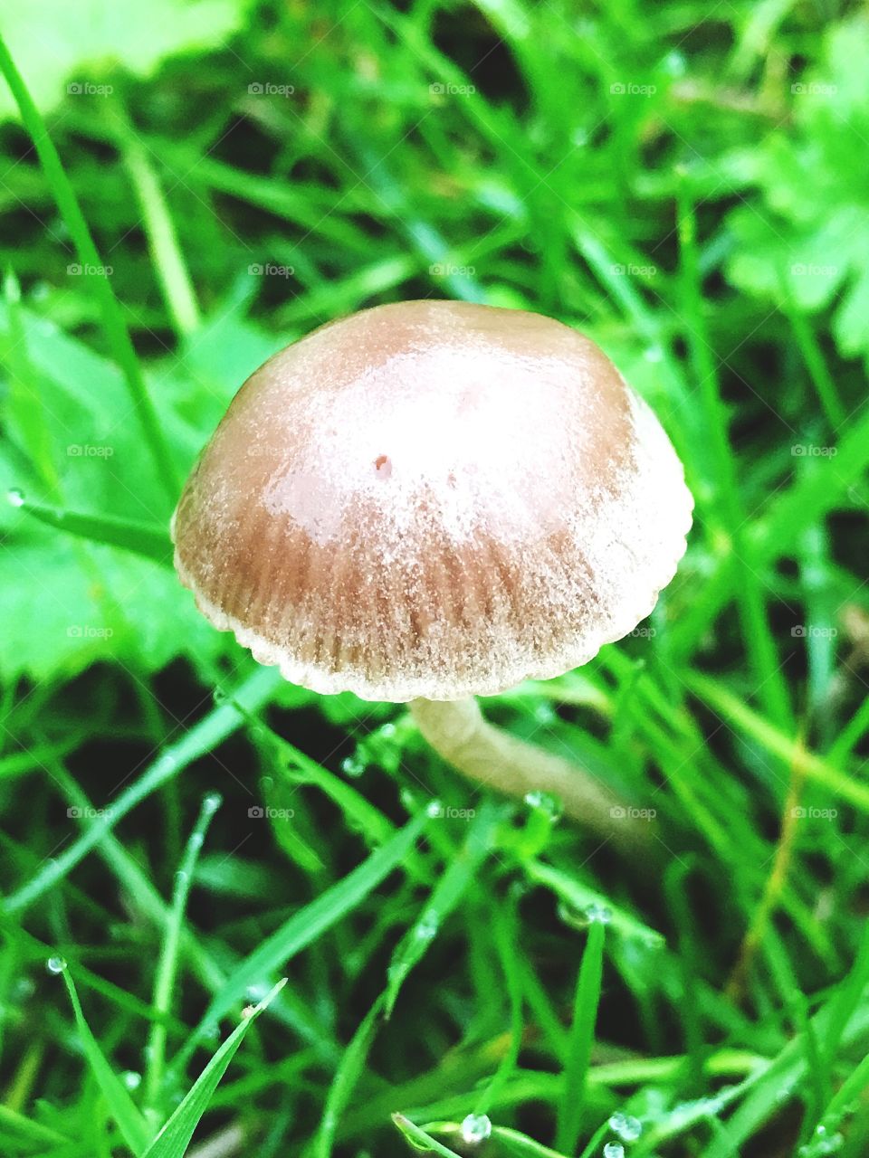 Captured with iPhone 6s Plus 