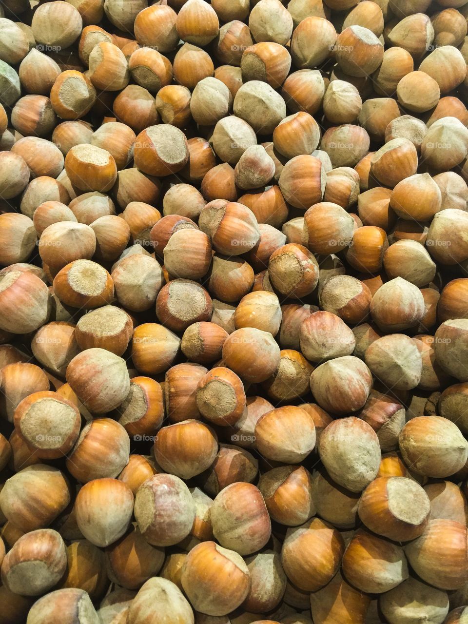 Hazelnuts