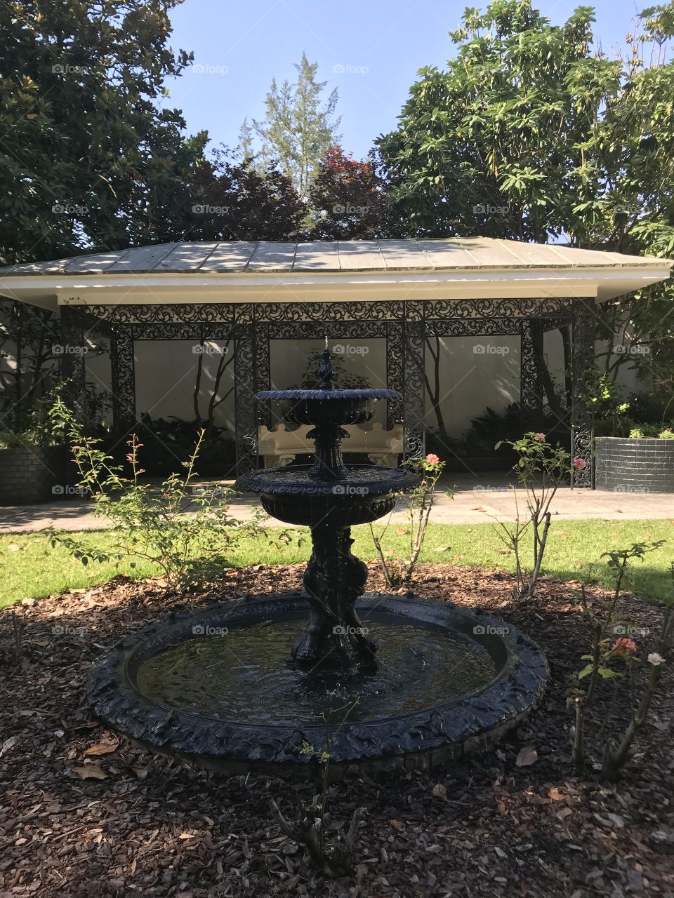 Fountain in the garden 