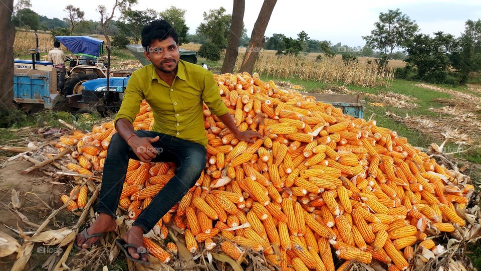 happy farmer with maize