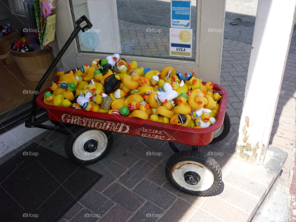 Duck toys in Provincetown, Ma