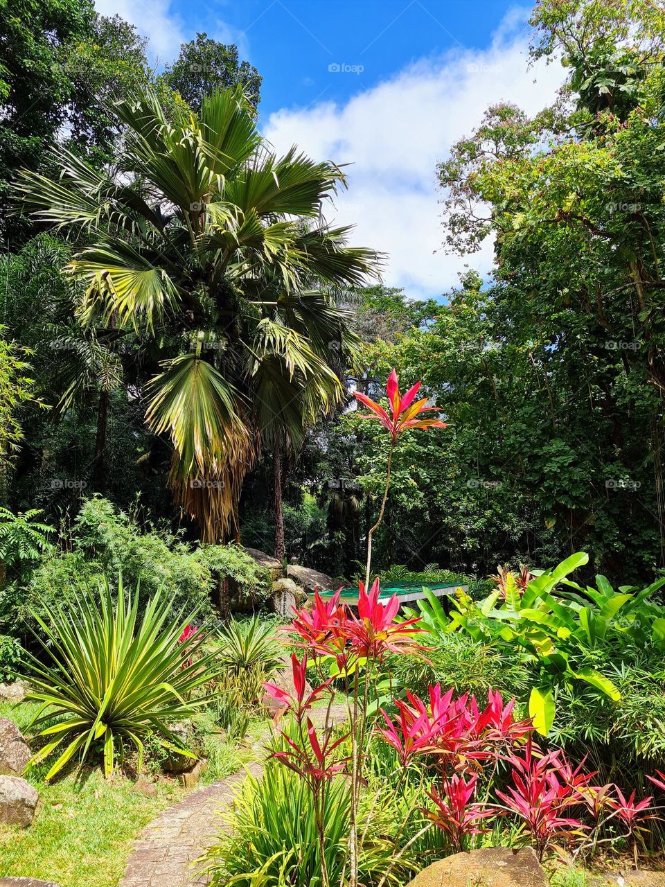 Seychelles Botannical Garden