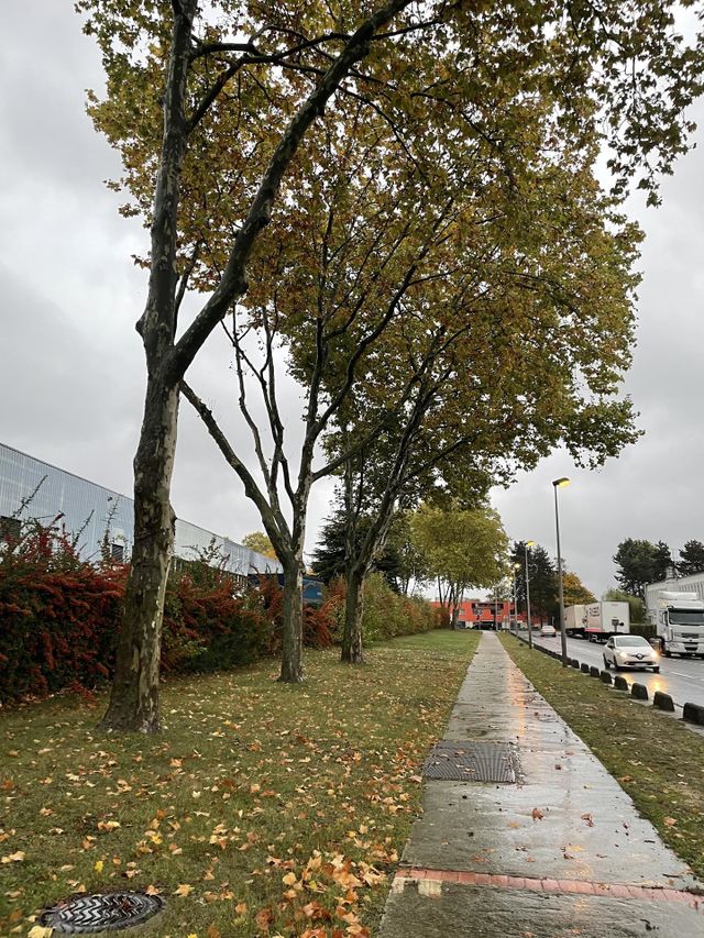 Ruas de Outono 
