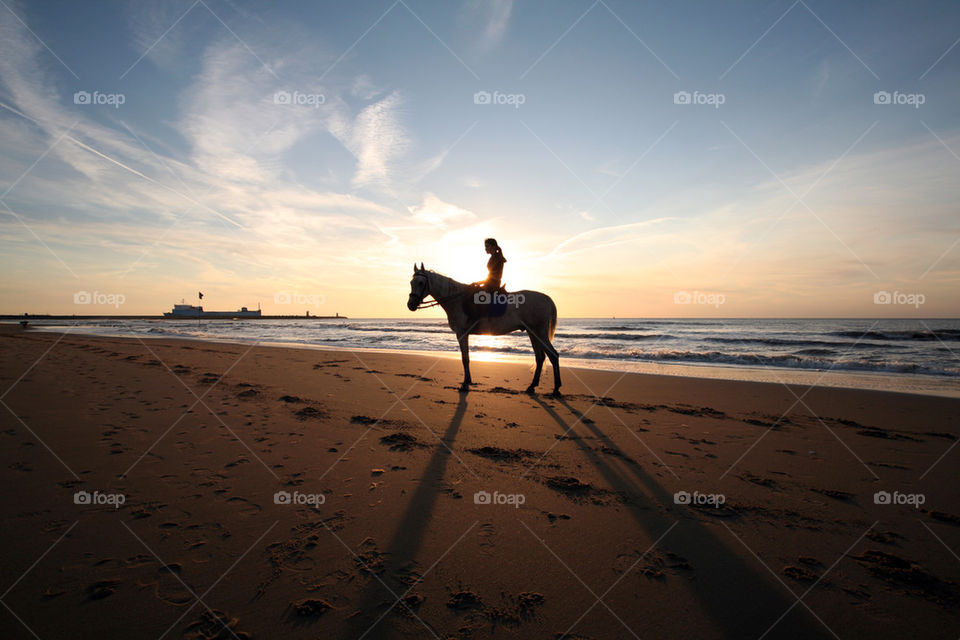 sunset with horse 