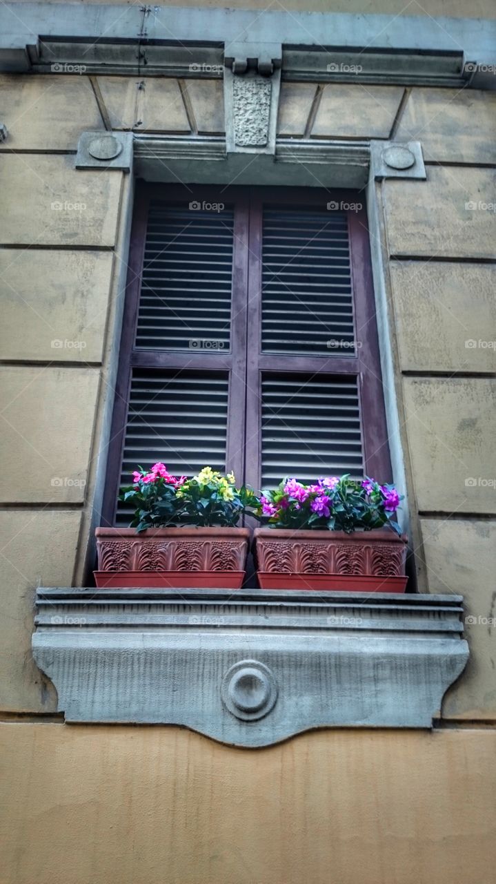 window in Rome