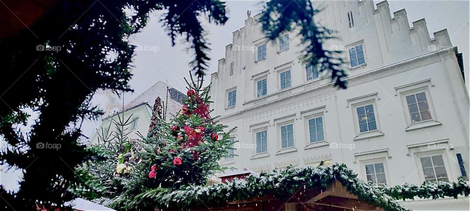 A historic building with a stepped triangular facade adjacent to the roof can be seen thru the branches of evergreen trees that are part of the „Christkindlmarkt“, the Christmas market in „Straubing“  in „Bavaria“, Germany. 2022. Hypnotic Productions