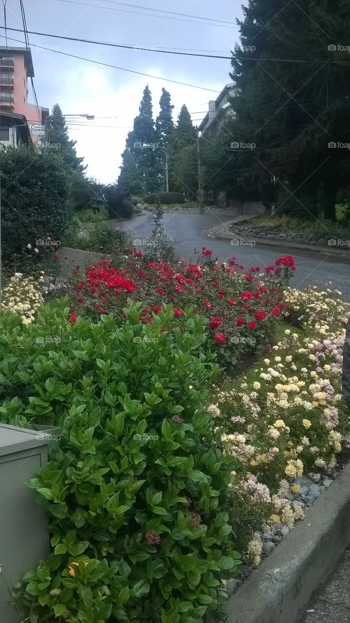 BARILOCHE , ARGENTINA