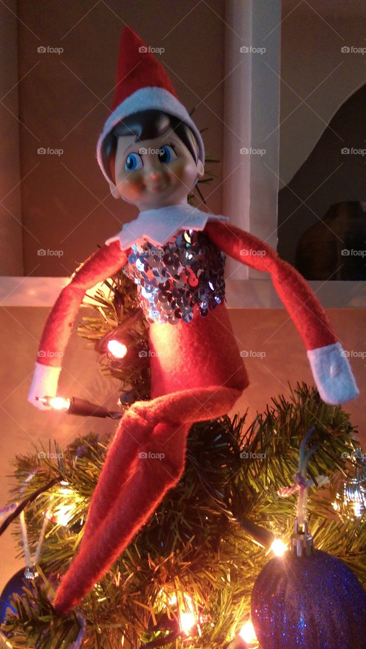 Elf on the Shelf is a star