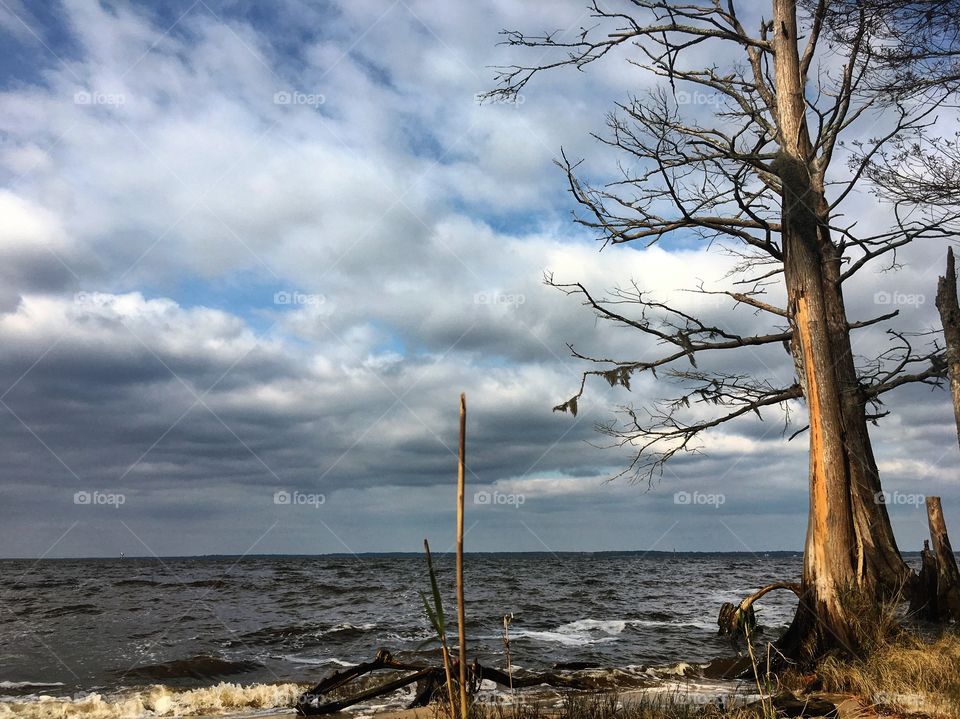 Storm clouds gather over the Neuse River at Pinecliff Recreational Area. The beach at Pinecliff is a well hidden and well protected treasure.  