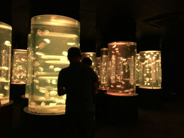 Aquarium in Pattaya 