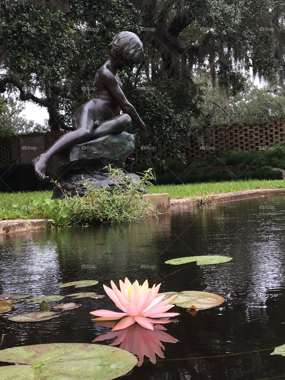 Statue pond lily pad