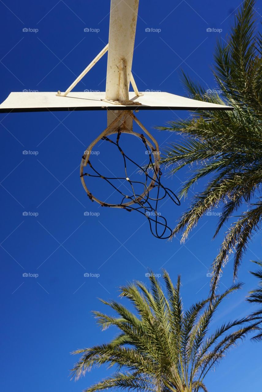 Basketballnet#sky#palms