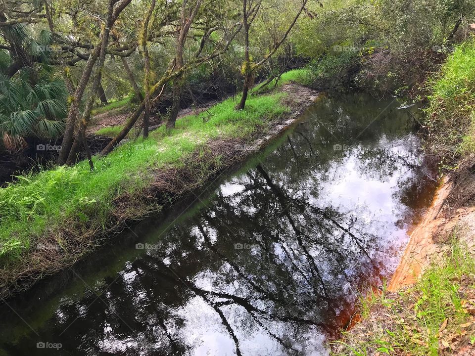 Creek through the forest.