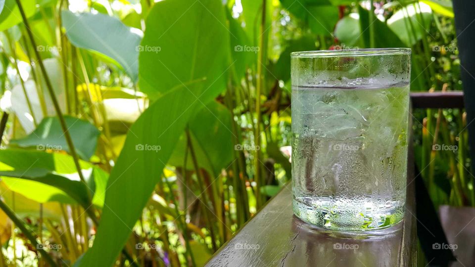 ice water in garden