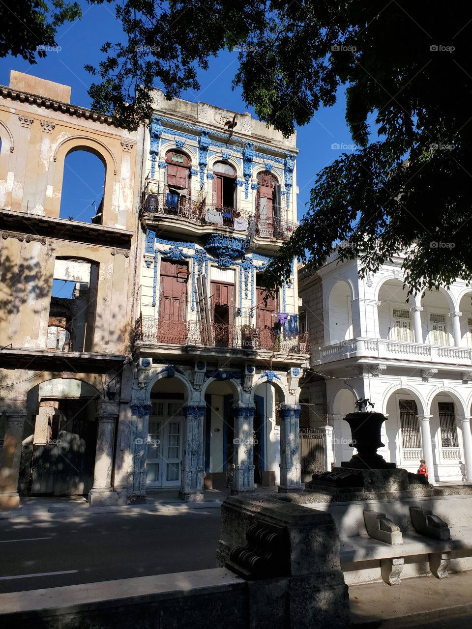 Pardo in Havana