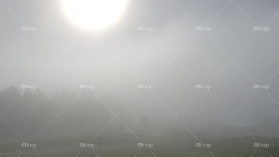 Foggy Morning