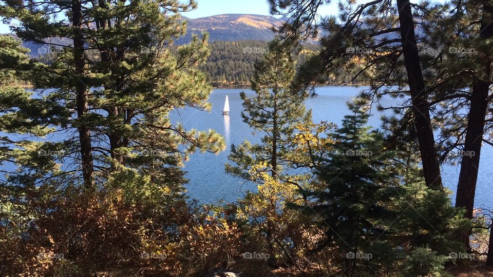 Sailboat in lake