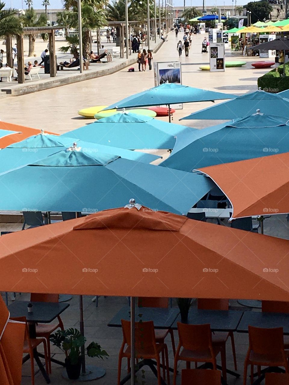 Colorful Umbrellas 