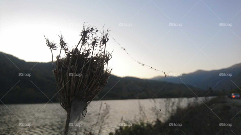 Late afternoon around the river