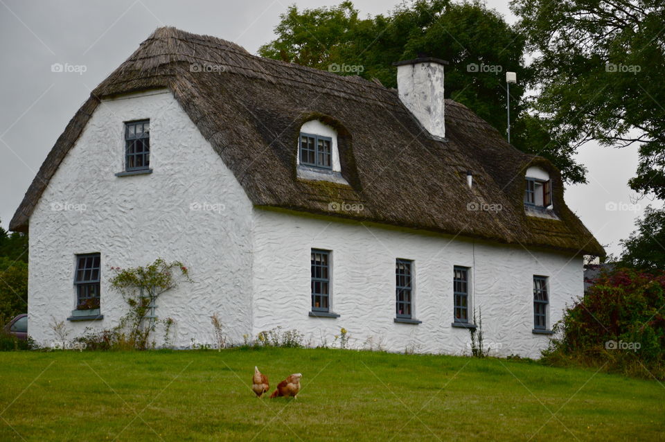 Irish house