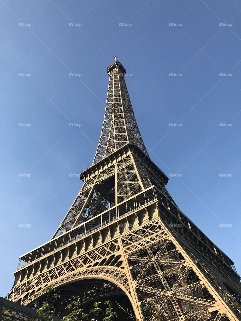 Eiffel Tower 